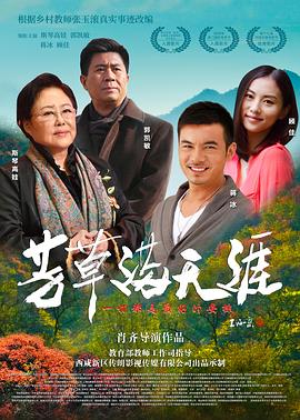 芳草满天涯封面图