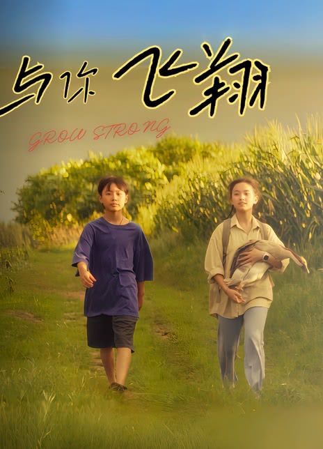 与你飞翔封面图