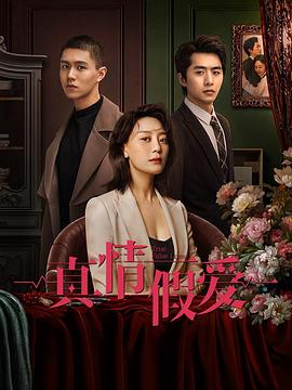 真情假爱封面图