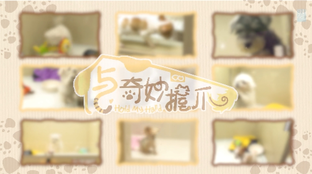 与奇妙握爪封面图