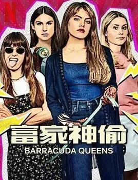 富家神偷第二季封面图