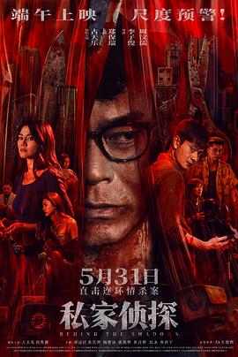 私家侦探粤语封面图