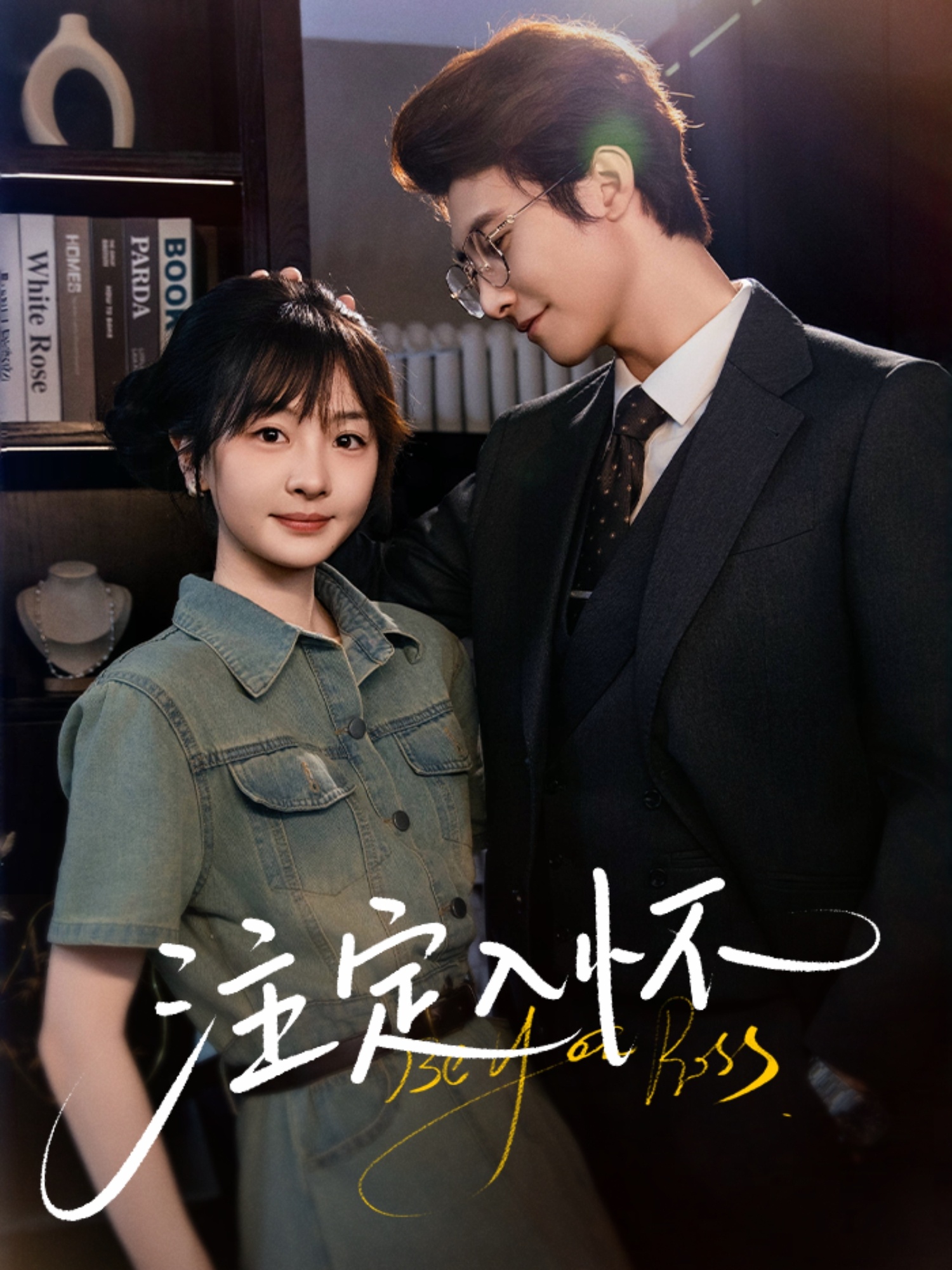 注定入怀封面图