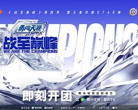 战至巅峰第四季封面图