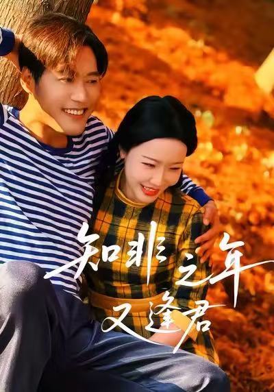 知非之年又逢君封面图