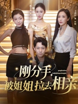 刚分手被姐姐拉去相亲封面图