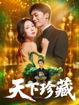 天下珍藏封面图