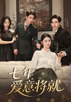 当时明月再难圆&amp;七年爱意将就封面图