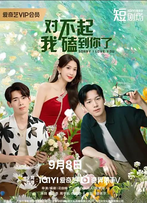 对不起，我磕到你了封面图