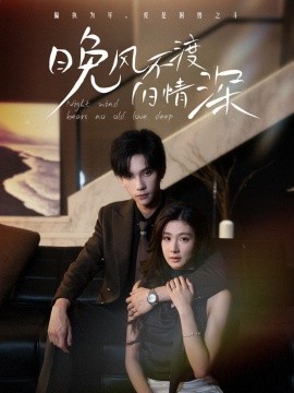 晚风不渡旧情深封面图