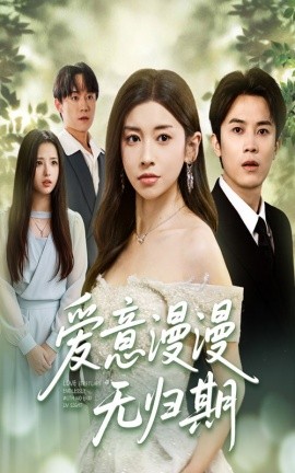 爱意漫漫无归期封面图