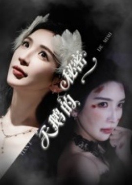 天鹅的秘密封面图