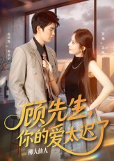 顾先生你的爱太迟了封面图