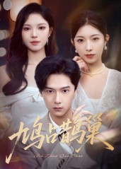 鸠占鹊巢,顶流夫人的致命陷阱封面图