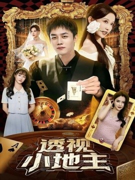 透视小地主封面图