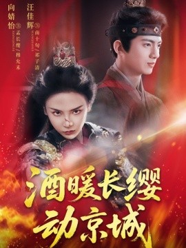 酒暖长缨动京城封面图