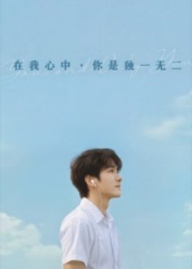 在我心中你是独一无二封面图