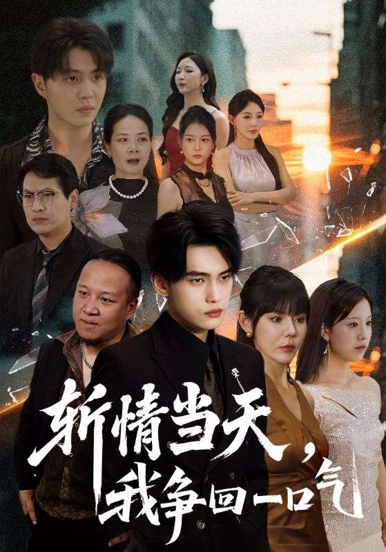 斩情当天我争回一口气封面图