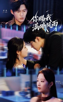 你赐我满城风雨封面图