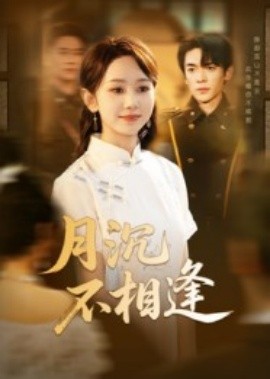 月沉不相逢封面图