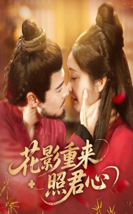花影重来照君心封面图