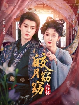 皎月窈窈入绥怀封面图