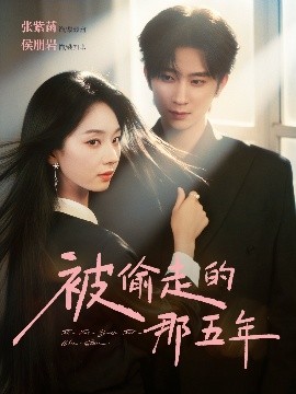 被偷走的那五年封面图