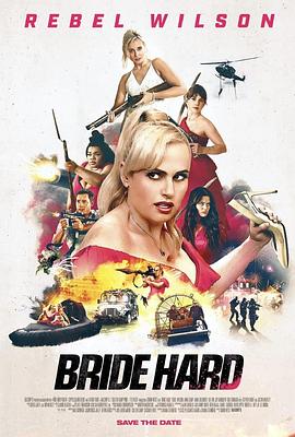 双面伴娘封面图