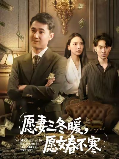 愿妻三冬暖愿女春不寒封面图