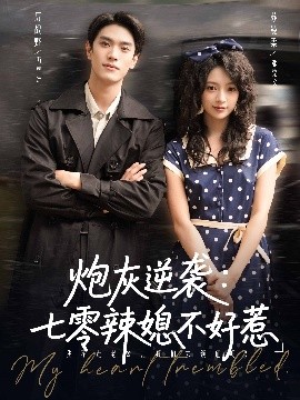 炮灰逆袭：七零辣媳不好惹封面图