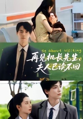 再见机长先生，夫人已读不回封面图