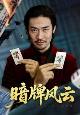 暗牌风云封面图