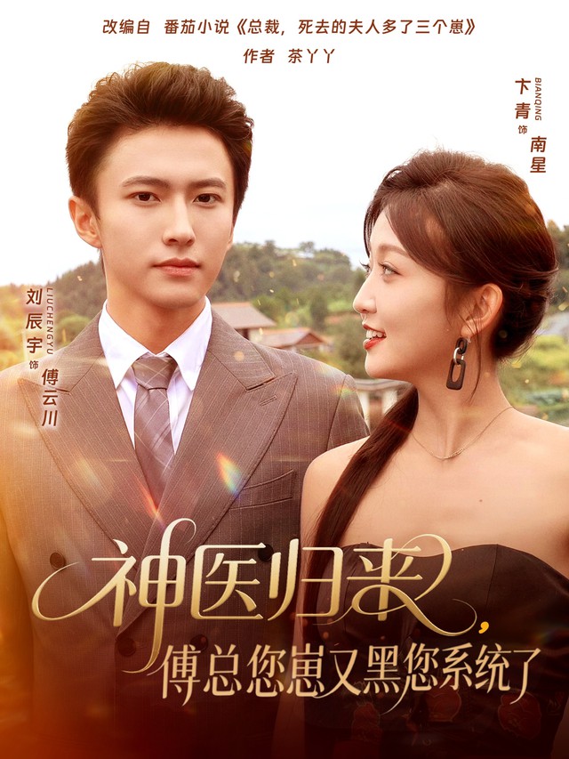 神医归来傅总您崽又黑您系统了封面图