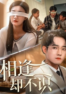 相逢却不识封面图