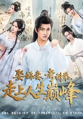 娶娇妻，考科举，走上人生巅峰封面图