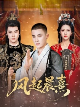 风起晨熹封面图